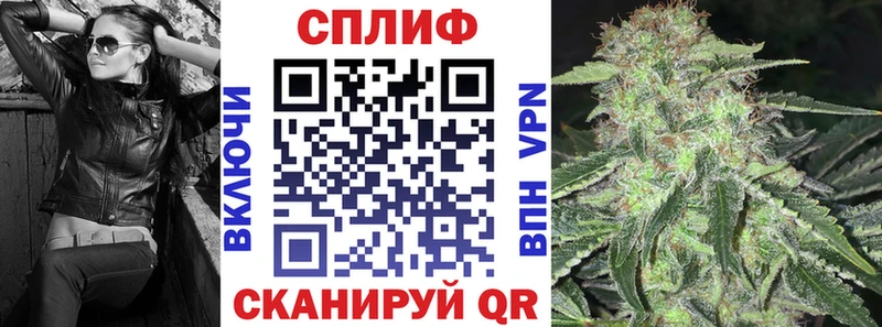 Каннабис план  Дубна 